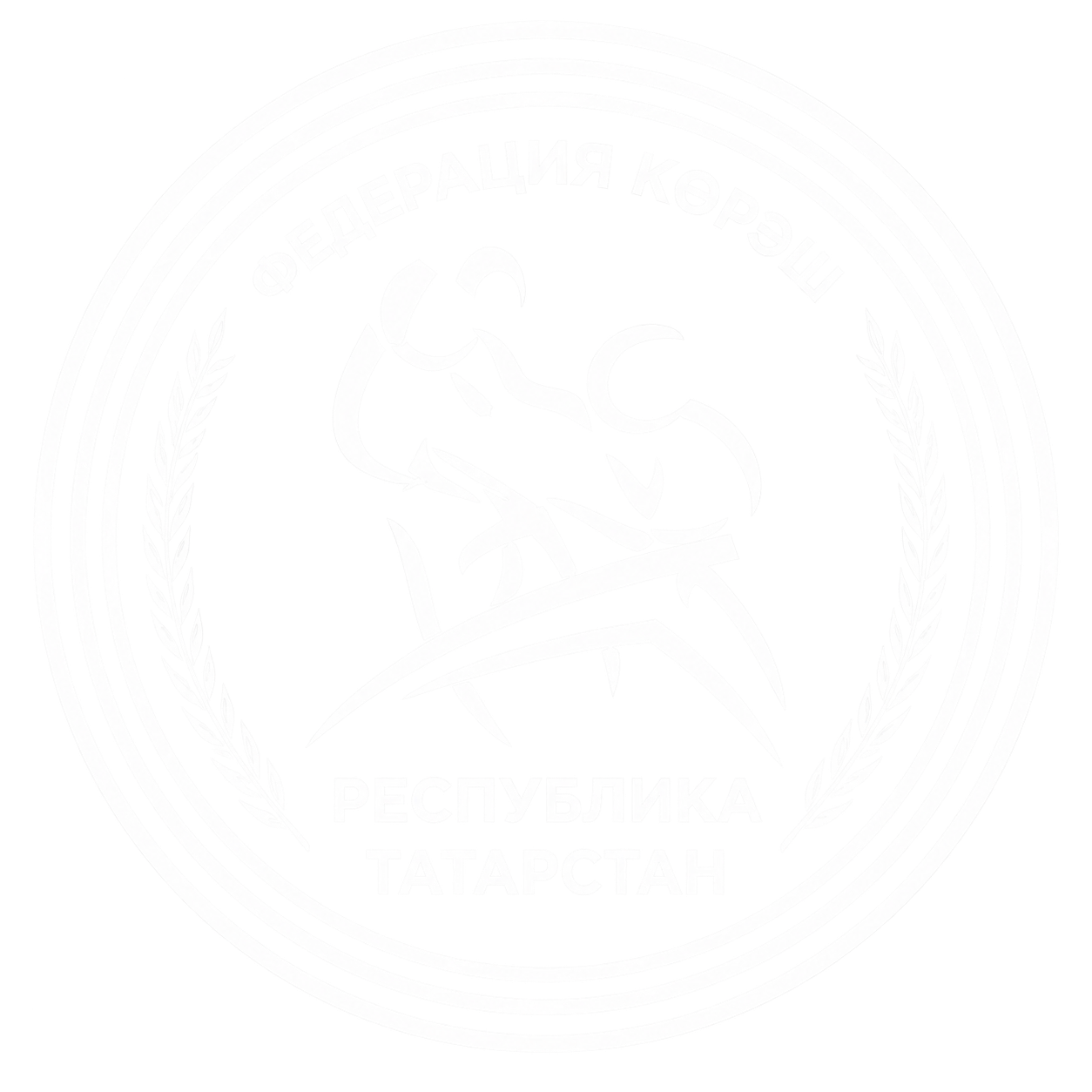 Федерация Республики Татарстан